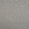 Beaulieu International Group , PVC podlaha - lino Master X 2979, na mieru, šíře 2m,4m, šedá, pvc, chodba / predsieň 1m2