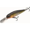Ciscus Minnow 65