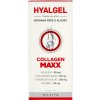 Hyalgel Collagen MAXX 500 ml