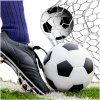 Futbalová lopta pre deti Futbalová lopta lopta Red Garden , na futbal 5 veľ. 5