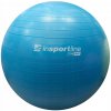 inSPORTline Lite Ball 65 cm