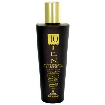 Alterna Ten Perfect Blend Conditioner 250 ml