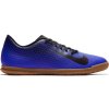 Halovky Nike Bravatax II IC M - 844441-400 - 43