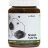 Wellbear Shilajit 400 mg - 60 kapsúl
