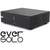 EVERSOLO AMP-F2 (Power Amplifier (Class-D 2x250W 4 Ohm / 1x450W 2 Ohm) Starke Sound design)