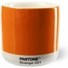 Pantone Latte termo Orange 210 ml