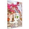 Vertikálny foto obraz akrylové sklo Grécke ulice 50x100 cm