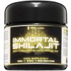 IMMORTAL SHILAJIT (Zlatá trieda) - PRIMAL ALCHEMY ZHILAJIŤ: 100g