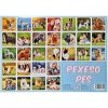 Pexeso Pes - spoločenská hra - autor neuvedený