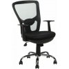 Ergonomická stolička CorpoComfort BX-4032EA Black
