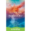 E-kniha Slová na rozlúčku - Benjamin Ferencz, Nadia Khomami