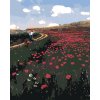 ZUTY Maľovanie podľa čísel - VLČIE MAKY V POLI (PÁL SZINYEI MERSE) Rámovanie: bez rámu a bez vypnutia plátna, Rozmer: 80x100 cm