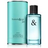 Tiffany & Co. Tiffany & Love toaletná voda pre mužov 90 ml TESTER