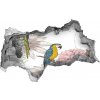 Diera 3D fototapeta nálepka Papagáje a kvety 95x73 cm
