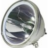 Lampa do projektora VIVITEK D855 ST, originálna lampa bez modulu