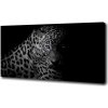 Foto obraz na plátne Leopard 100x50 cm