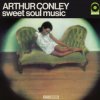 Conley Arthur - Sweet Soul Music / Clear / Vinyl [LP]