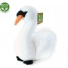 Rappa Plyšový vták labuť sediaci 23cm ECO-FRIENDLY