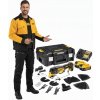 DeWALT DCS356P2