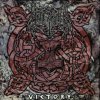 Unleashed - Victory / Vinyl [LP]