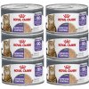 ROYAL CANIN Appt Airlift, konzerva 6 x 85 g