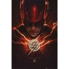 Donga Plagát - The Flash Movie (Speed Force)