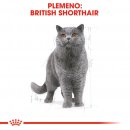 Royal Canin British Shorthair Adult 10 kg