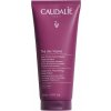 Caudalie Thé Des Vignes intenzívne vyživujúce telové mlieko 200 ml