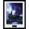 GB eye Obraz Harry Potter - Rokfort