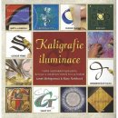 Kaligrafie a iluminace - Janet Mehiganová, Mary Nobleová