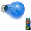 Zoomed žiarovka Daylight Blue 100 W