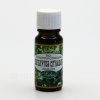 Saloos Eukalyptus citriodora éterický olej 10 ml