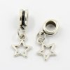Prívesok štýl pandora, platina, dĺžka:23mm, otvor:5mm, hviezda 1ks