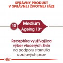 Royal Canin Medium Ageing 10 x 140 g