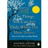 Things You Can See Only When You Slow Down (Haemin Sunim)(Brožovaná)