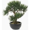 Umelý Bonsai borovice v kvetináči, 33cm
