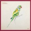 Helicopter of the Holy Ghost - Afters / Vinyl [LP]