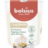 Sviečka Bolsius True Scents, vanilka, 80x73 mm, v skle