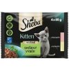 Sheba Kitten Chicken & Salmon in Gravy 4 x 85 g