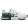Nike Air Max Alpha Trainer 6 Men Workout Shoes 0198482428167 Biela