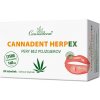 Ihneď k odberu - Cannaderm CANNADENT HERPEX 28 kapsúl