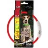 Dog Fantasy LED světelný obojok z nylonu