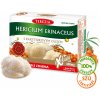 TEREZIA HERICIUM ERINACEUS S RAKYTNÍKOVÝM OLEJOM 60 kapsúl