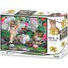 Puzzle s 3D efektom Prime 3D 48 dielikov Medzi pivonkami