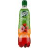 Jupí Fľaštička Sirup imunita brusnica s echinaceou 0,7 l