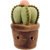 Maskot kaktusu 23 cm