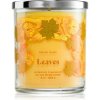 Bath & Body Works Leaves Sviečka 227 g