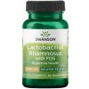 Swanson Probiotikum Lactobacillus Rhamnosus s FOS - 60 kapsúl