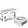 Gigabyte AORUS ELITE P1000W 80+ Platinum Modular PCIe 5 ICE GP-AE1000PM PG5 ICE