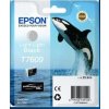 Epson T7609 Ink Cartridge Light Light Black C13T76094010
